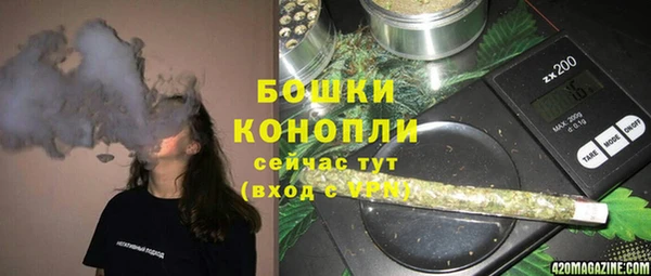 шишки Балахна