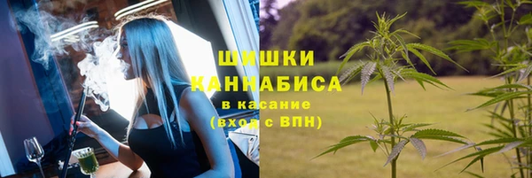 ПСИЛОЦИБИНОВЫЕ ГРИБЫ Балабаново