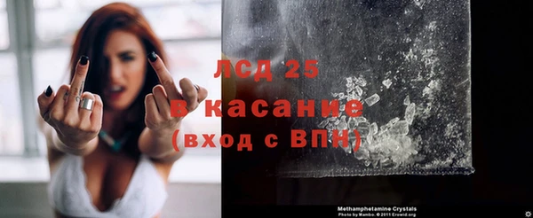 шишки Балахна