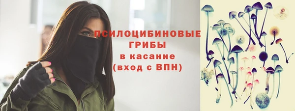 шишки Балахна