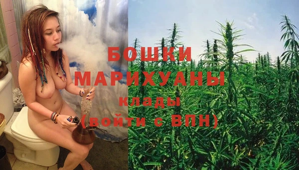 ПСИЛОЦИБИНОВЫЕ ГРИБЫ Балабаново