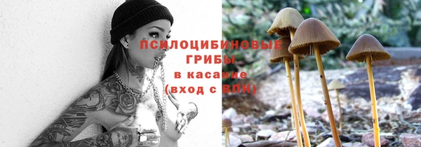 ПСИЛОЦИБИНОВЫЕ ГРИБЫ Балабаново