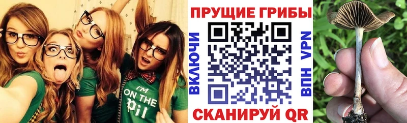 Псилоцибиновые грибы мухоморы  Северо-Курильск 